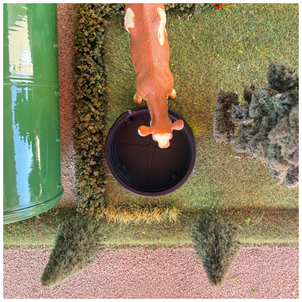 Water trough